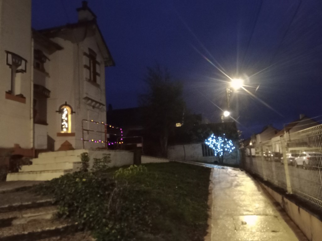 Jardin 1, déco 2024